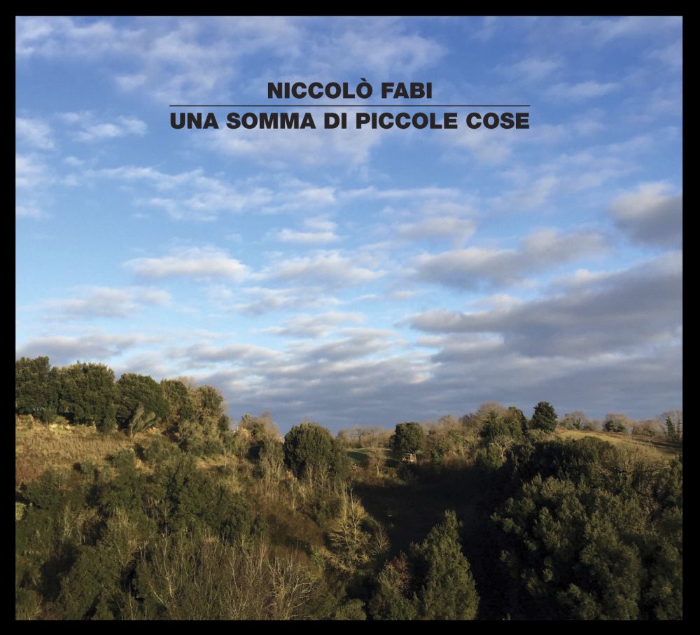 Niccolò Fabi - Una somma di piccole cose - Artwork